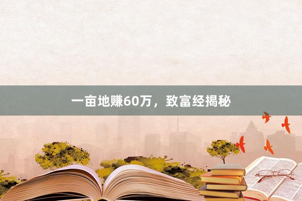 一亩地赚60万，致富经揭秘