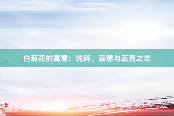 白菊花的寓意：纯碎、哀想与正直之志