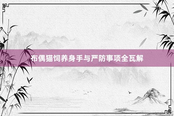 布偶猫饲养身手与严防事项全瓦解
