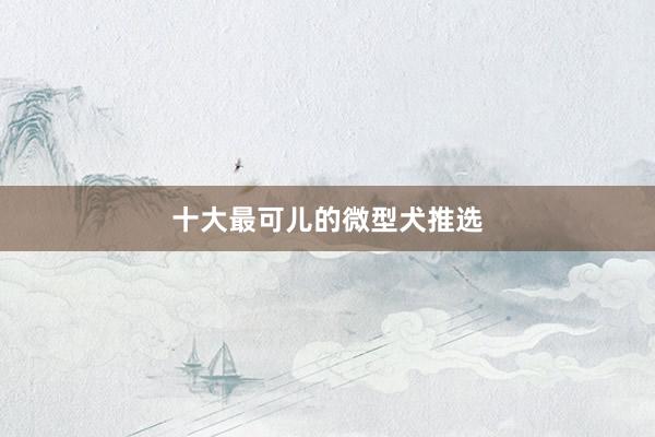 十大最可儿的微型犬推选